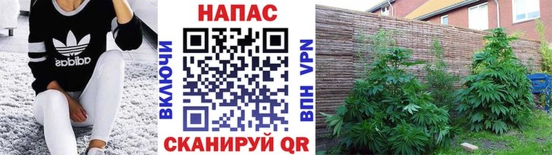 Наркотические вещества Димитровград Амфетамин Мефедрон Бутират A-PVP ГАШИШ