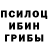 Псилоцибиновые грибы GOLDEN TEACHER Maksatgeldi Tachmamedov