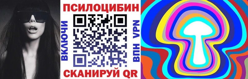 закладки  Димитровград  Галлюциногенные грибы мицелий 